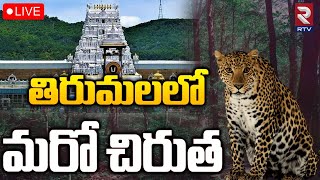 తిరుమలలో మరో చిరుత 🔴LIVE : Another Leopard Caught In Cage At Tirumala Alipiri Walk Way | RTV