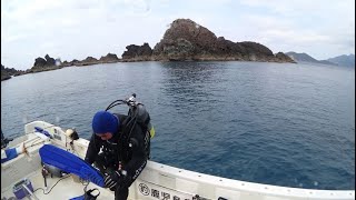 【秋目ボートダイビング】ハナミノカサゴ　鹿児島の海　鹿児島のダイビング　アクアトリップダイビング　南さつま市　坊津町　秋目湾　民宿がんじん荘