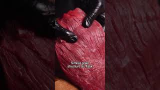 A Very Average Steak (Sierra Steak School)