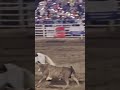 Bull jumps arena fence, injures 3 spectators at Oregon rodeo