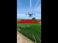 Drone Dji AGRAS T16 AGRICULTURE DRONE | Guna dron sembur racun, tabur baja sawah    #Shorts #13