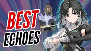 FASTEST WAY TO GET BEST ECHOES | WUTHERING WAVES GUIDE