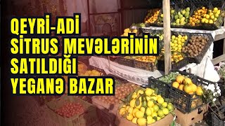 Cənub bölgəsinin-Lənkəranın Unikal Sitrus Bazarı – Yerli Təbiətin Ləzzəti