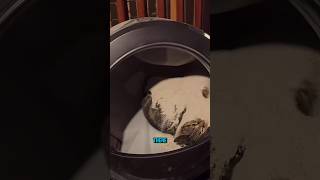 Self Cleaning Litter Box