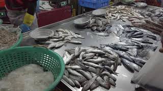 Exploring Varappuzha Fish Market | Walking Tour \u0026 Fish Types in 4K | Best Prices