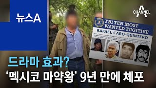 드라마 효과?…‘멕시코 마약왕’ 킨테로 도주 9년 만에 체포 | 뉴스A