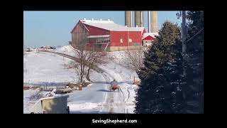 Amish Horse & Buggy Going Home Down a Country Road @SavingShepherdShop