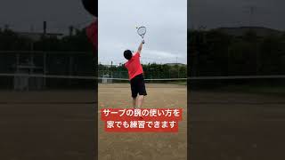 難しいとされるプロネーションをなんとなく身に付ける方法#shorts #tennis #love #テニス