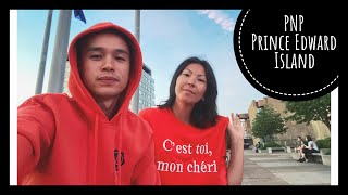 VLOG #99 / МЫ ПОДАЛИ ДОКУМЕНТЫ НА ИММИГРАЦИЮ !!! / PNP PEI / Март - Июль 2020