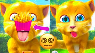 My Talking Ginger funny videos 😂 | talking ginger cat funny video | talking ginger |