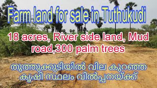 Ad No.91/Thoothukudi district/18 acres,/20 km from Tirunelveli/For more details +919791870175