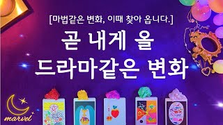 [타로]곧 내가 겪을 드라마같은 변화