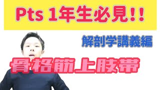 パリピでもわかる解剖学　骨格筋編　上肢帯