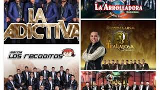"Bandas" La adictiva, La arrolladora, La Trakalosa de Monterrey, Los Recoditos, ms #