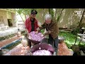 how the world’s best rose water is made