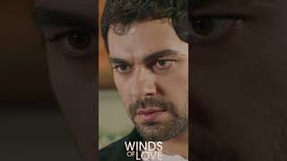 Halil ve Zeynep aşk yüzüklerini taktı | #windsoflove #shorts #ruzgarlitepe