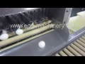 Hard boiled white egg process machine, how to remove egg shell
