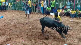 புதுக்கோட்டை மாவட்டம் இலுப்பூர் இருந்தரபட்டி ஜல்லிக்கட்டு 2022 🐂🐂🐂