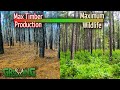 How to Manage Timber Stands for Quality Wildlife Habitat (611)