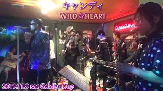 キャンディ　矢沢永吉トリビュートバンドWILD☆HEART