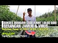 Luar Biasa‼️Tanam Cabe Rawit Pelita F1 Potensi Bisa Beli Mobil