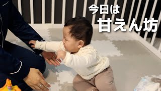 【生後9ヶ月】今日は朝から甘えん坊でした