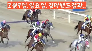 2025년 2월9일--일요일--경마 결과---엉망진창..정신 없는 하루 경마-----