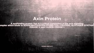 Medical vocabulary: What does Axin Protein mean