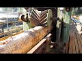 इस लकड़ी के साथ देखें आगे क्या करेगी ये मशीन || Heavy Powerful Wood Machine