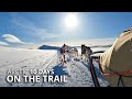 10-Day ARCTIC Winter Camping & Dog Sledding EXPEDITION