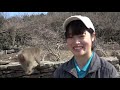 つぶらな瞳をキョロキョロ　元気な赤ちゃんザルが誕生　香川・小豆島