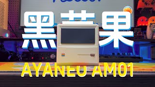 外边像Mac，里边装Mac，AYANEO AM01迷你主机黑苹果安装体验