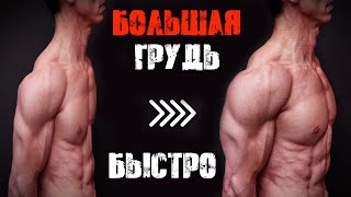 ХОЧЕШЬ НАКАЧАТЬ БОЛЬШУЮ ГРУДЬ - делай это | Джефф Кавальер