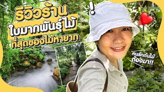 SUANSOM EP.13 | รีวิวร้านต้นไม้ที่ดังสุดในศรีราชา ใบมากพันธุ์ไม้ ที่สุดต้นไม้หายาก!