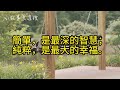 《阿甘正傳教會我們的10句人生真諦》 人生方向 人生哲理 自我探索 心靈語錄 心靈感悟 小故事大道理 人生小課堂