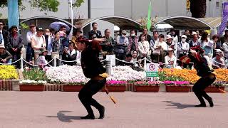 葉月連  はなはるフェスタ2019  藍場浜公園演舞場  4.21(日)  徳島阿波おどり