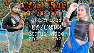 ᱯᱟᱨᱥᱤ ᱢᱟᱱᱰᱤ NEW SANTALI VIDEO