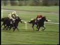 john henry winning 1981 arlington million