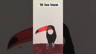 Drawing of a toco toucan #bird #art #toucan #beturz