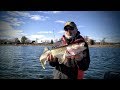 Cold Water Walleye on Plastics – Fishing Edge TV