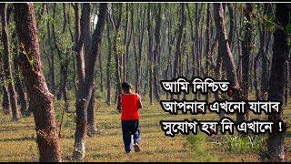 Mangrove forest in Chittagong || Chittagong city