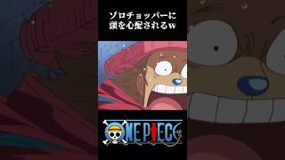 【MAD】ゾロ チョッパーに頭を心配されるw #ワンピース #onepiece #アニメ