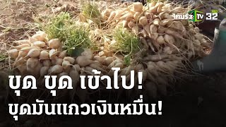 เกษตรขุดมันแกวขายสร้างรายได้หลักหมื่น | 2 มี.ค. 67 | ตะลอนข่าวสุดสัปดาห์