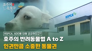 호주의 반려동물법 A to Z! 인권만큼 소중한 동물권 [호주시 동물구 1부]