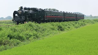 【暑くて煙も出ないってば!!】真岡鉄道  SL C11 蒸気機関車 八木岡地区…