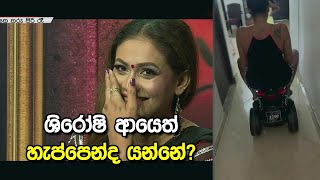 ශිරෝෂි ආයෙත් හැප්පෙන්ද යන්නේ?