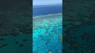 THE MAJESTIC HASTINGS REEF #explore #travel #shortsfeed #shortvideo #reels #australia