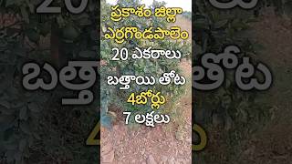 8885969825:ప్రకాశం జిల్లా ఎర్రగొండపాలెం మండలం 20 ఎకరాల పొలం దగ్గర ఏడు లక్షలు మాత్రమే