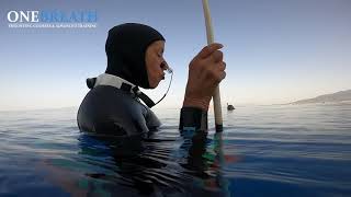 Onebreath Freediving School | The Best Freediving School in Athens! Join Us!