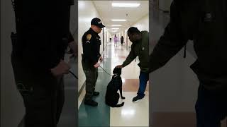Deputy Gueiss & K9 Hammer at New Hanover HS